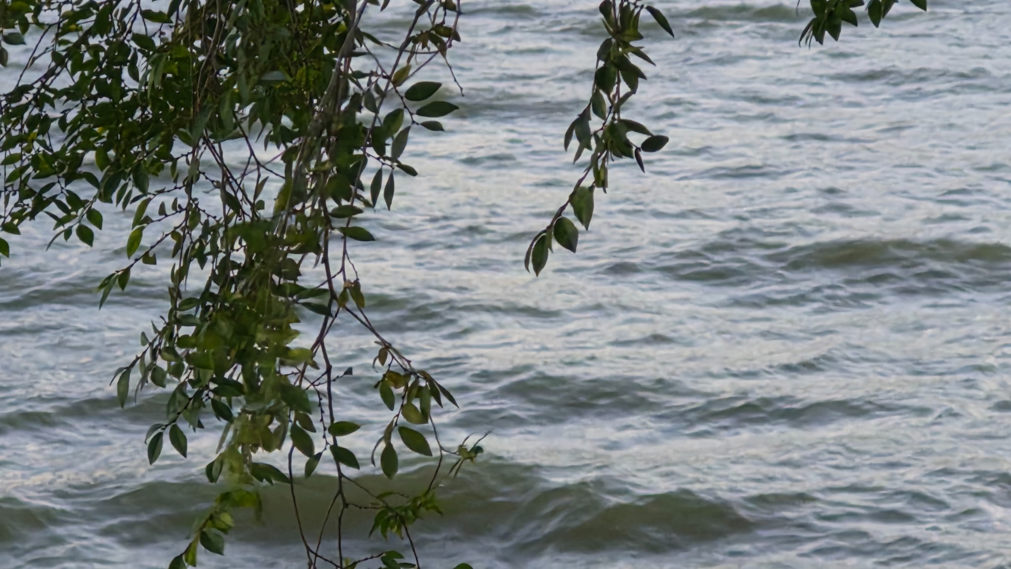 Blue Silence photograph